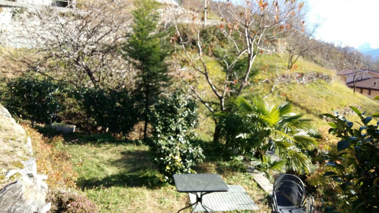 Casa Delle Camelie Apartment Sorico Luaran gambar
